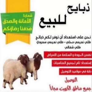قصاب - قصاب متنقل - بالكويت 69975512 - ذبايح - ذبائح الكويت - غنم للبيع - اغنام للبيع - ذبايح للبيع - غنم - سوق غنم - اغنام عربى للبيع - جزار - ذبائح 3 1676441160368 قصاب - قصاب متنقل - بالكويت 69975512 - ذبايح - ذبائح الكويت - غنم للبيع - اغنام للبيع - ذبايح للبيع - غنم - سوق غنم - اغنام عربى للبيع - جزار - ذبائح