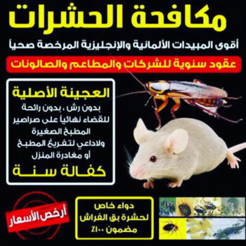 مكافحة حشرات - مكافحة حشرات وقوارض - الاتصال 50464050 - شركة حشرات - شركة مكافحة حشرات - مكافحة بق - مكافحة قوارض - مكافحة حشرات الكويت