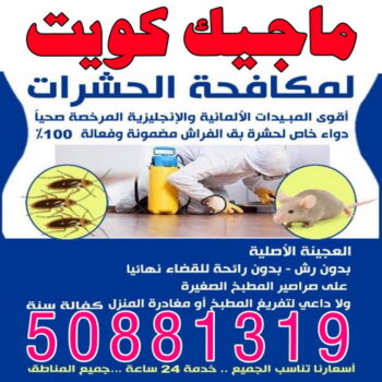 مكافحة حشرات - الاتصال 50881319 - مكافحة حشرات الكويت - شركة مكافحة حشرات - رقم مكافحة حشرات - مكافحة حشرات وقوارض - رش حشرات - مكافحة حشرة - مكافحة حشرات رخيصة